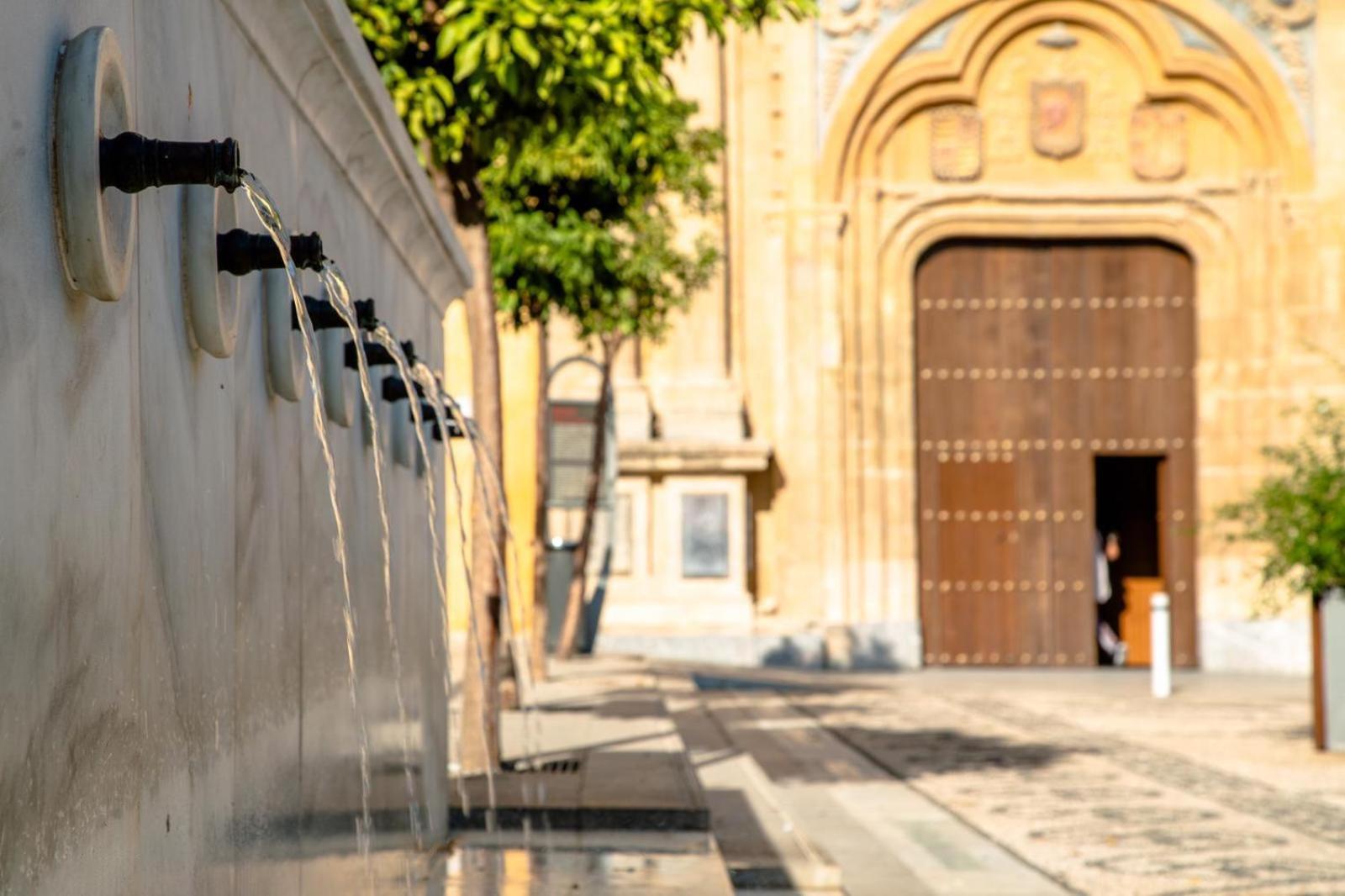 Los Patios De San Lorenzo Con Parking قرطبة المظهر الخارجي الصورة